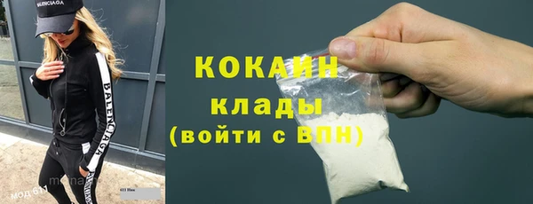 индика Слюдянка