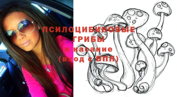 spice Алексин