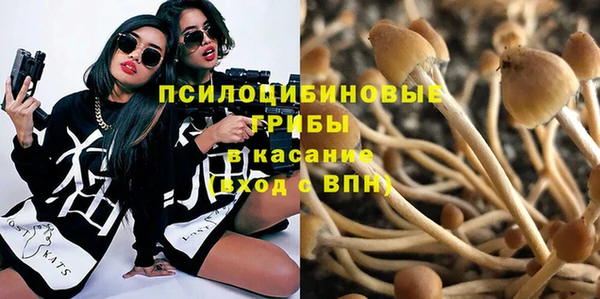 индика Абдулино