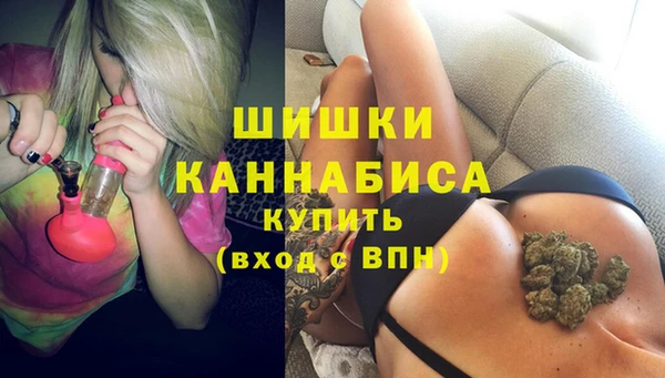 индика Абдулино